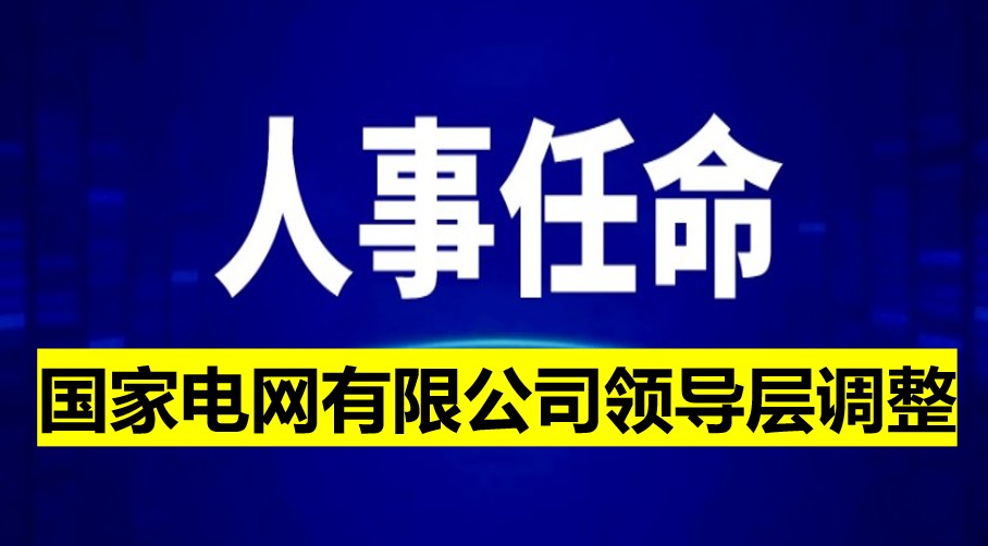 國家電網有限公司領導層調整